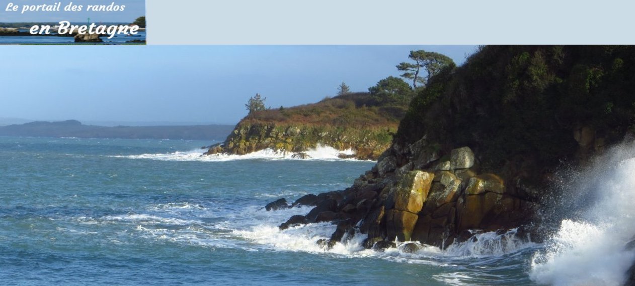 image pour la page des clubs