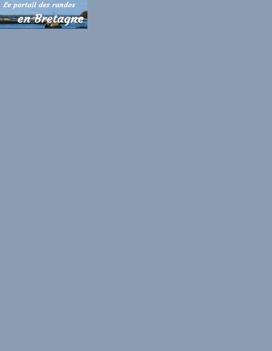 image de fond de la page des favoris