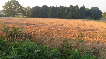 photo de la randonn�e