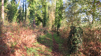 photo de la randonn�e