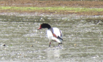 photo de la randonn�e