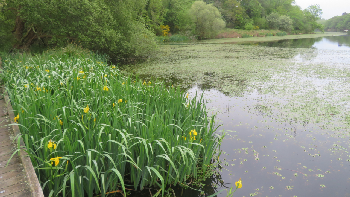 photo de la randonn�e