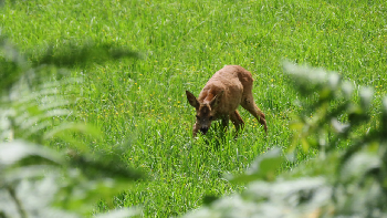 photo de la randonn�e