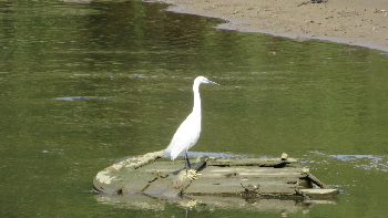 photo de la randonn�e