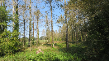 photo de la randonn�e