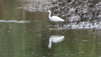 photo de la randonn�e