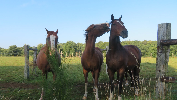 photo de la randonn�e