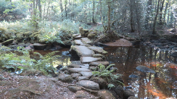 photo de la randonn�e