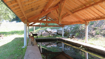 photo de la randonn�e