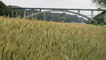 photo de la randonn�e