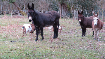 photo de la randonn�e