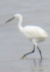 diaporama de la randonn�e