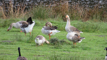 photo de la randonn�e