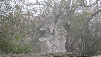 photo de la randonn�e