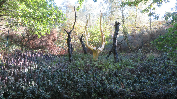 photo de la randonn�e