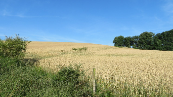 photo de la randonn�e